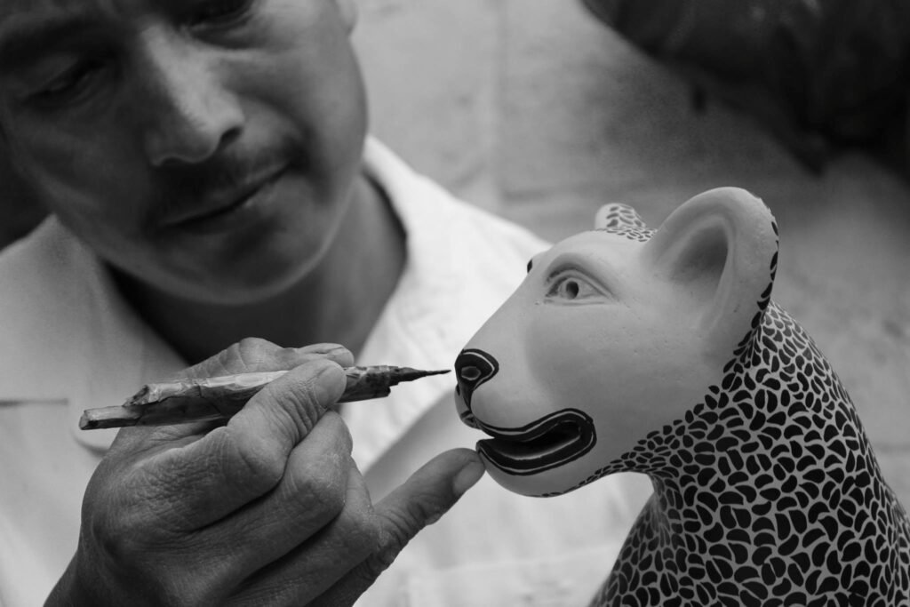 artesano chiapaneco fotografía